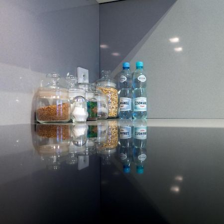 比亚韦斯托克Great Apartament Mlynowa公寓 外观 照片